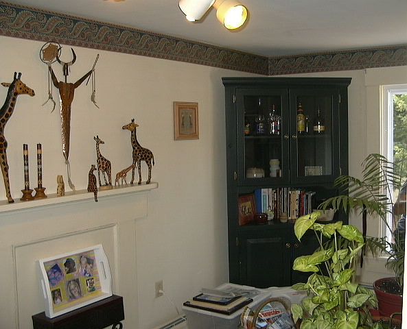 Room behind kitchen.