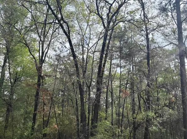 TBD LOT #13 Windwood Drive, Livingston, TX 77351
