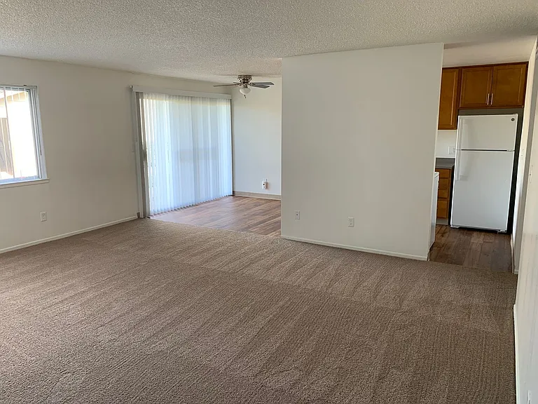 Shannon South Apartments — Photo 15