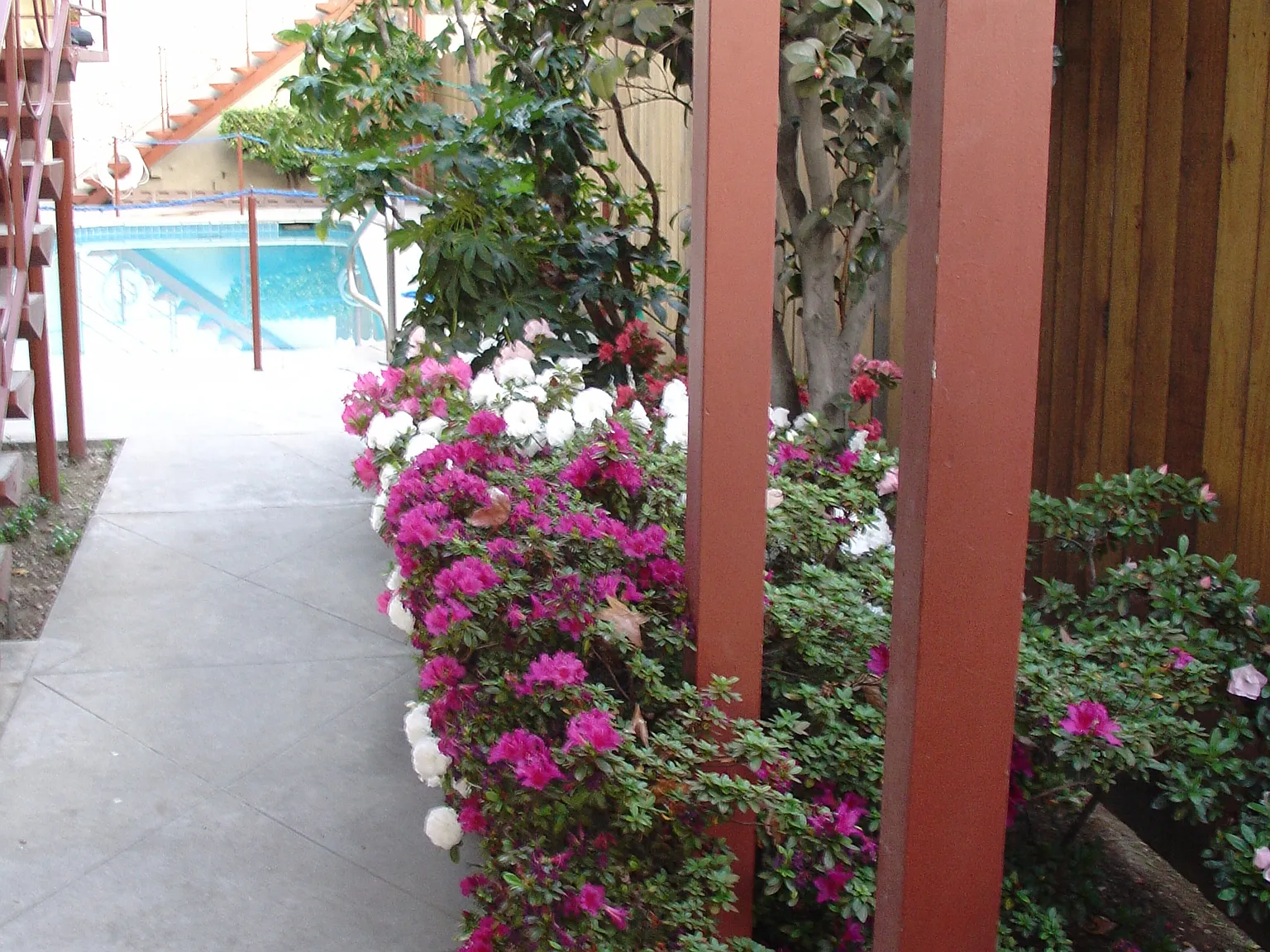 1 bed, $1,795 — Photo 3