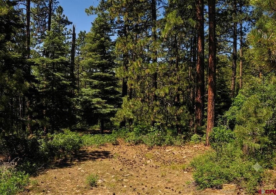 1st image of 176 Big Timber Drive