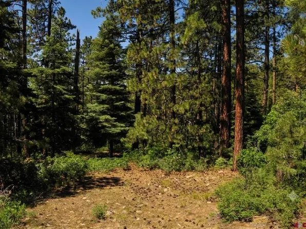 176 Big Timber Drive, Bayfield, CO 81122
