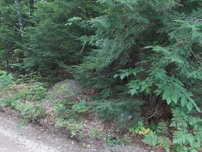 2nd image of 0 Colcord Pond Road