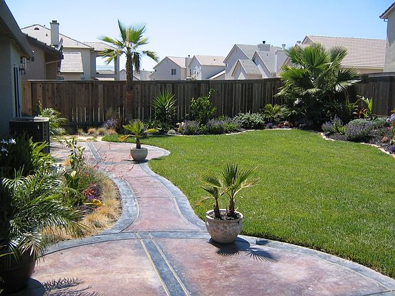 Back yard in 2004
