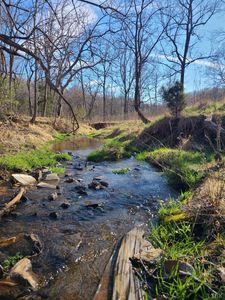 0 Cifax Rd Lot 6, Goode, VA, 24556