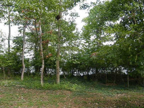 2nd image of 22 Roehrig Ct Lot 5