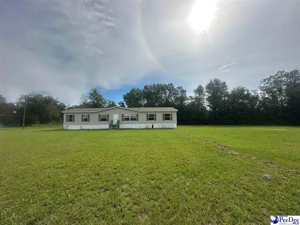 1328 Bass Mill Rd, Sellers, SC 29592