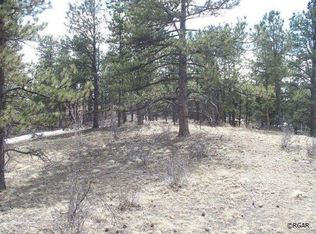 Tbd Manis Dr, Westcliffe, CO 81252