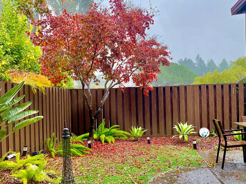 fall foliage