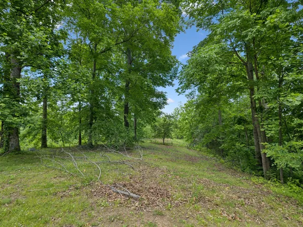 4754 Ridgetop Rd, Hampshire, TN 38461