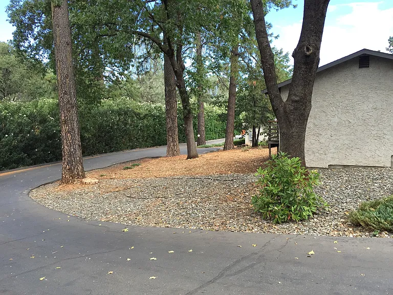 443 Nunneley Rd — Photo 3