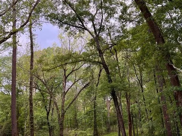 163 Jordan Ln, Pineville, LA 71360