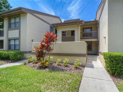 234 Woodlake Wynde #52, Oldsmar, FL, 34677
