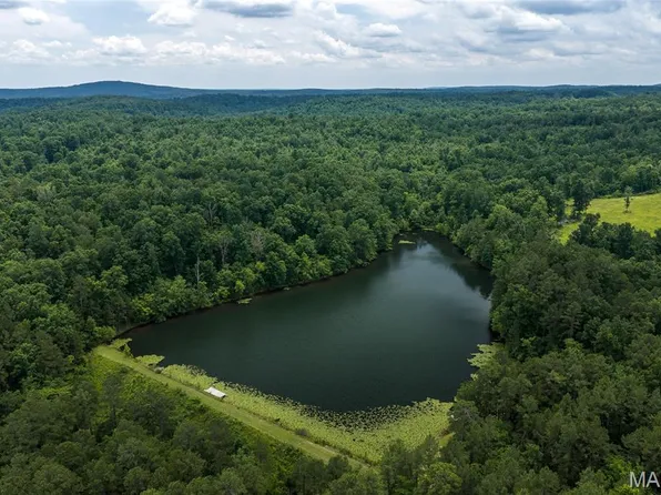 1882 County Road 234, Fredericktown, MO 63645
