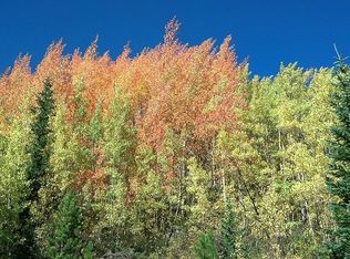 321 Monte Cristo Mine Rd Breckenridge, Breckenridge, CO 80424