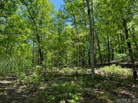 5th image of 0 Brush Mountain Trl