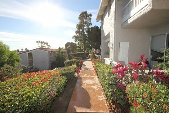 28310 Rey De Copas Ln — Photo 18