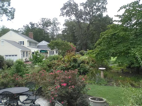 from neighbors patio