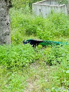 0 Blanchard Dr #G — Photo 15