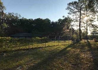 2nd image of 6878 E State Road 44