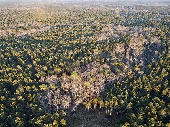 5th image of 0 Long Cane Rd