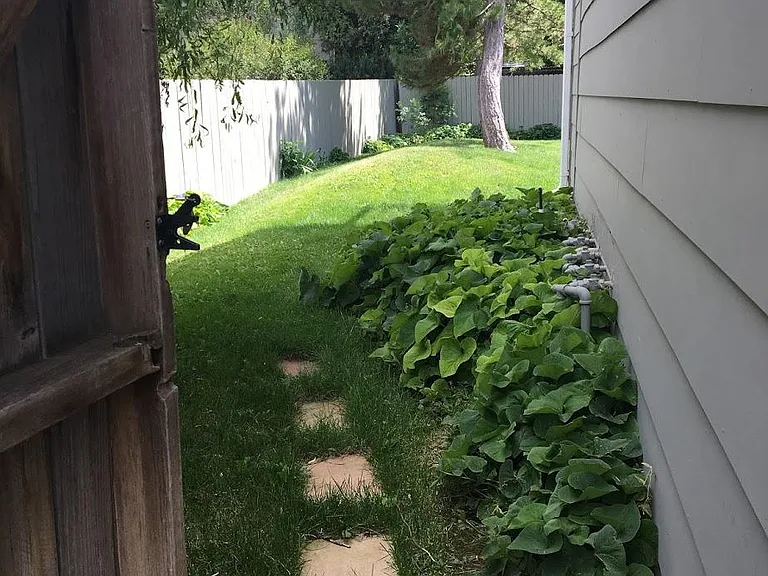 Back gate and side yard