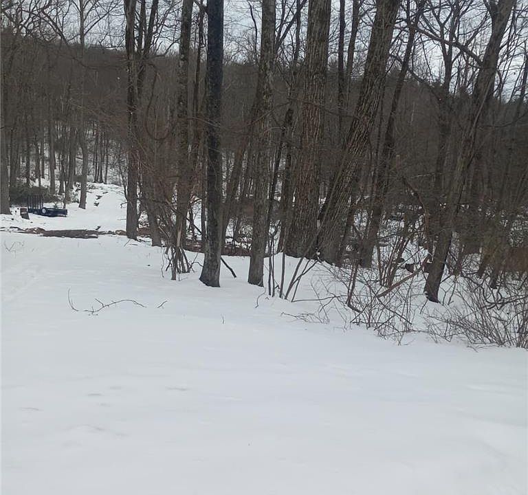 1st image of 88 Bear Cub Trl