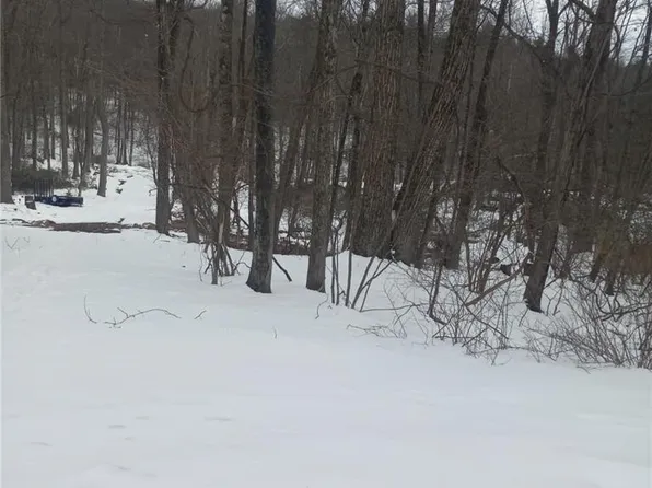 88 Bear Cub Trl, Scotrun, PA 18355