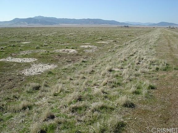 4th image of 11138 Del Loma Trl