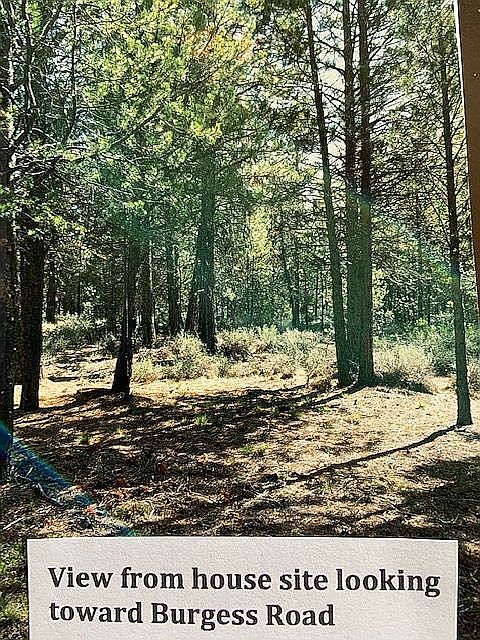 2nd image of 15475 Pine Tree Dr