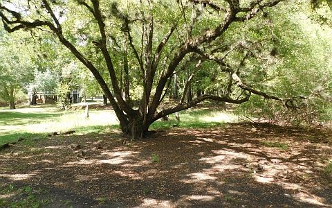2nd image of 29224 River Run Rd