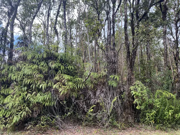 Punahele St Lot 52, Mountain View, HI 96771