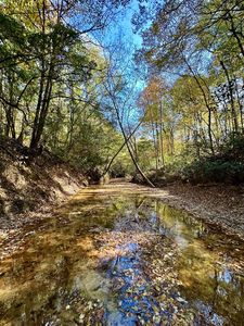 0 Frost Marlow Rd, Midway, AL, 36053