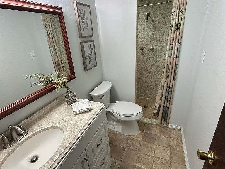 Basement Bathroom and Shower