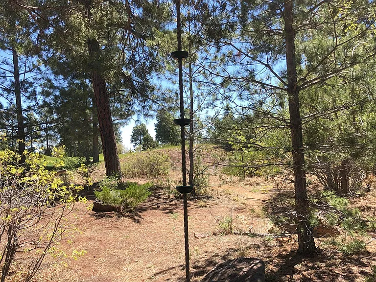 481 S Yarrow Ln — Photo 57