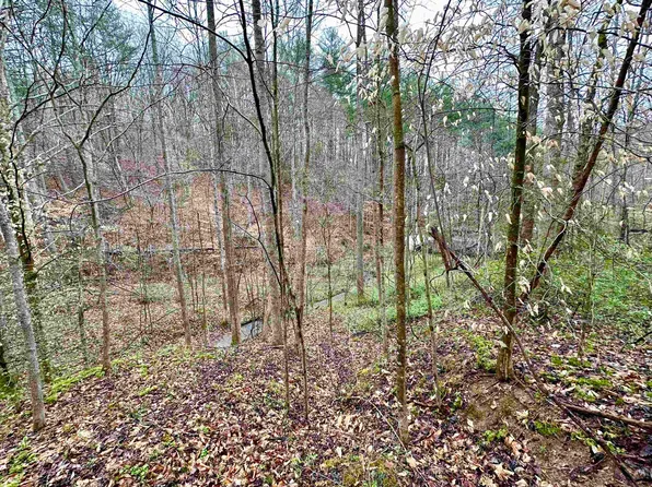 Perry Rose Br, Sandy Hook, KY 41171