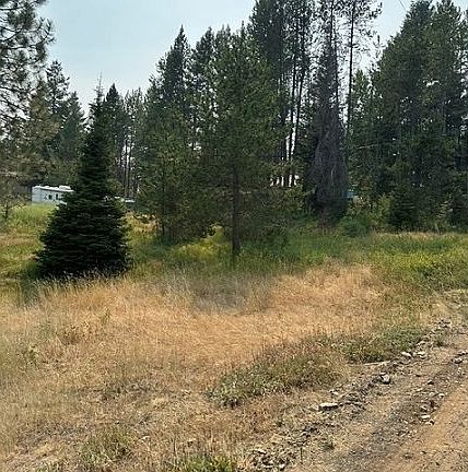 2nd image of Kamela Loop