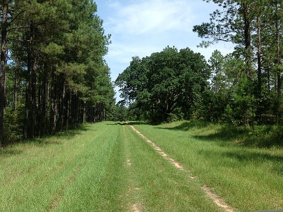 3rd image of 83A Canopy Oak Blvd