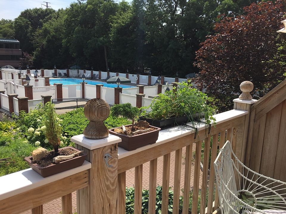 View From Deck