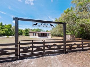 35423 Holmes St, Webster, FL 33597