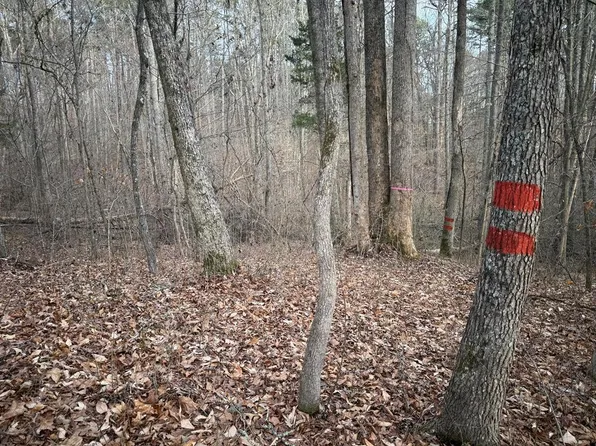 328AC Cowford Rd, Halifax, VA 24558