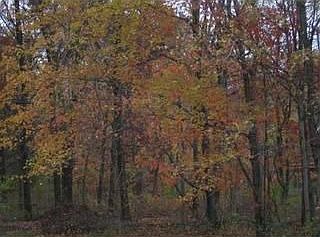 2nd image of 51680 Juniper Rd