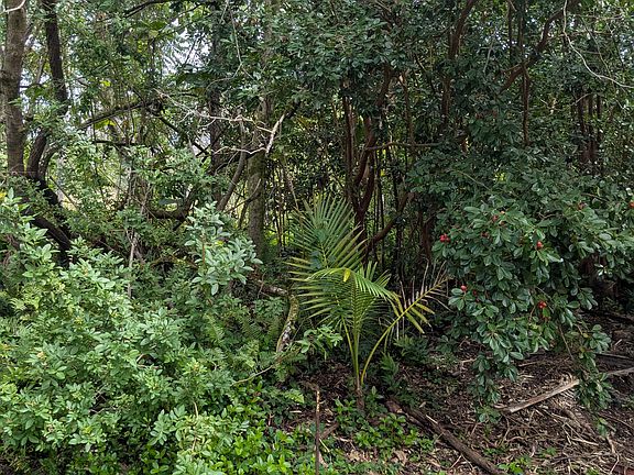 3rd image of 12-262 W Pohakupele Loop Lot 89