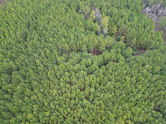 5th image of Harristown Rd