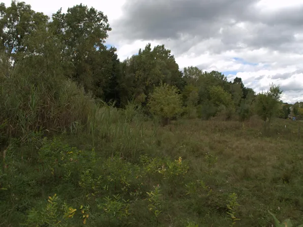 3847 Lake Vista Dr, Dexter, MI 48130