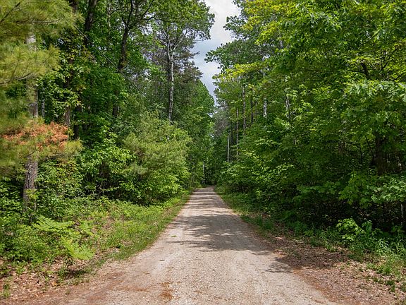 5th image of Pine Tree Rd