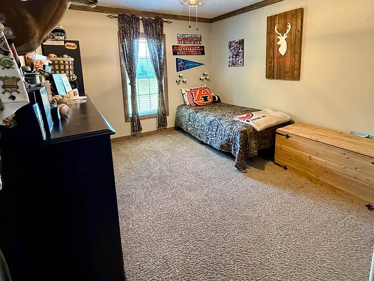 4376 Lee Road 391 — Photo 13