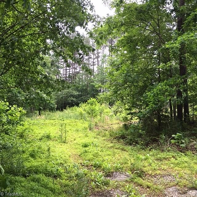 2nd image of 670 Arvil Hunt Rd