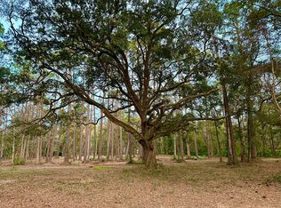 14983 State Highway 99, Darien, GA 31305