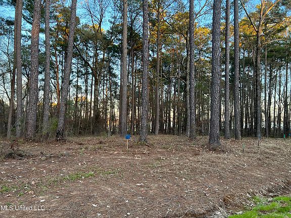 3rd image of 138 Apollo #6